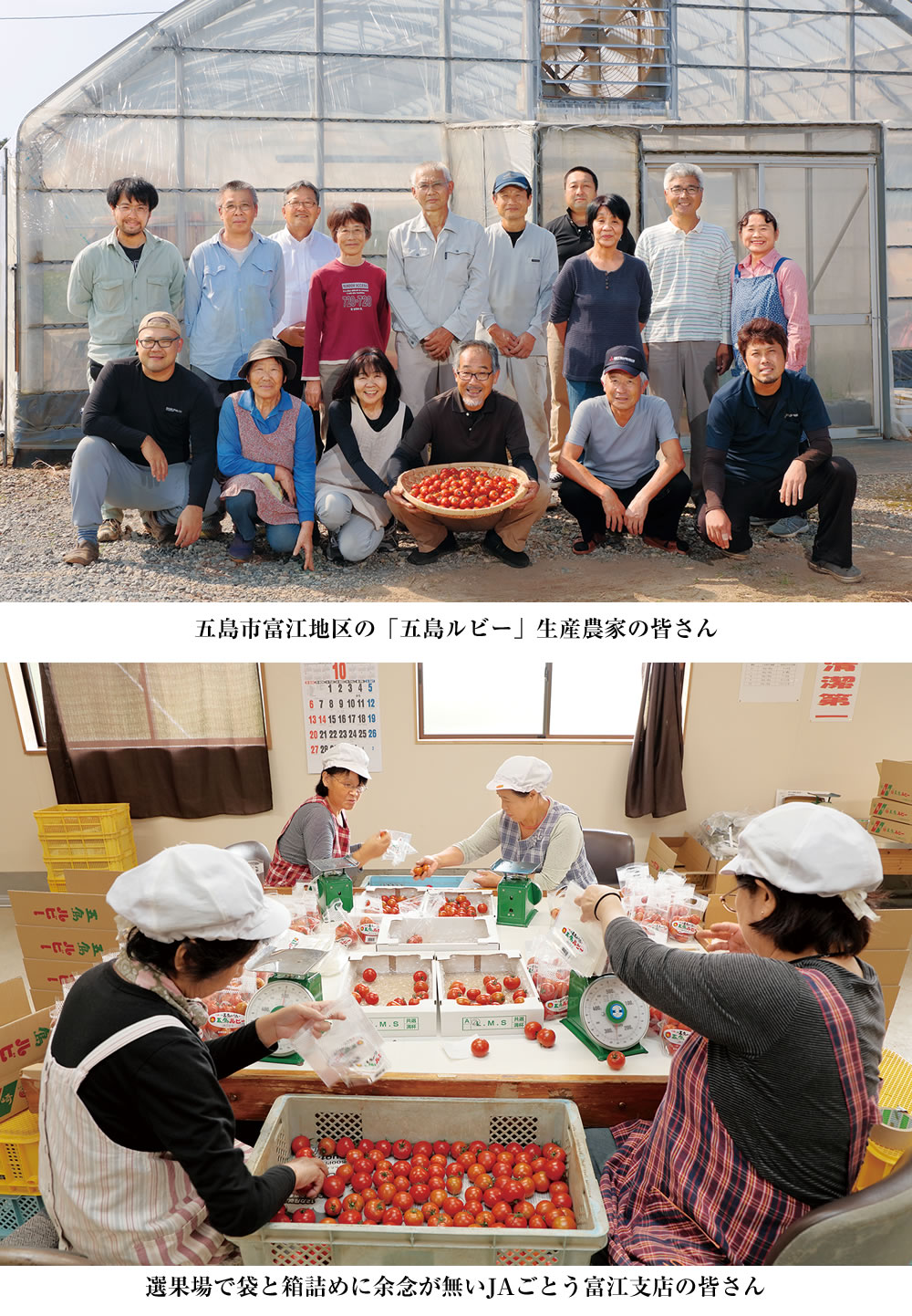 五島手延トマトうどんづくりに携わる ますだ製麺七目工場の職人